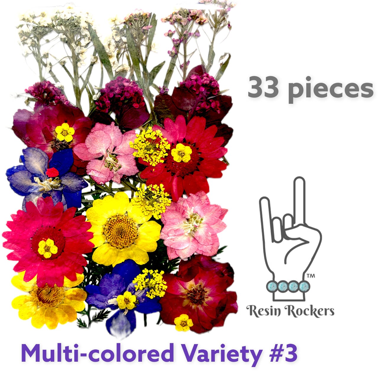33 Piece Multi-colored Variety #3 Dried Pressed Real Natural
